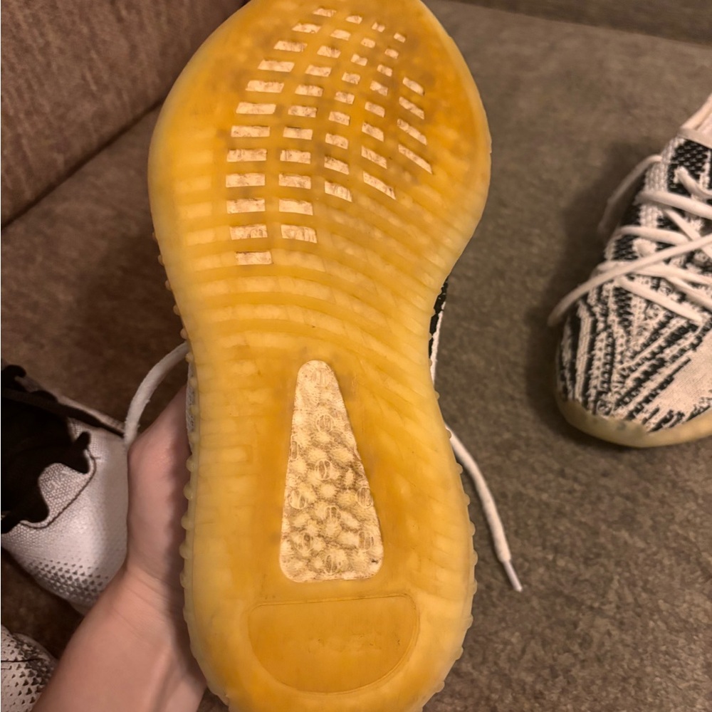 No rips from smoke free home signs of wear